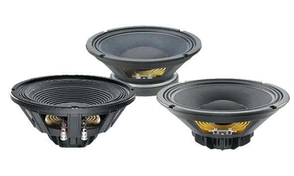 Celestion 10" PA Speakers